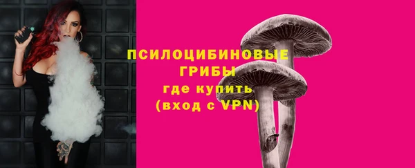 ECSTASY Алексеевка