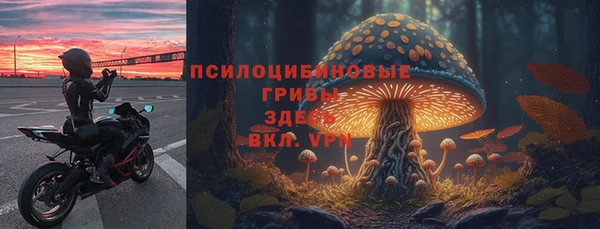 бошки Нягань