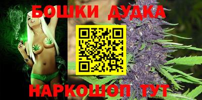 крисы Новодвинск