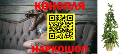 МДПВ Новокубанск