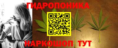 мет Новозыбков