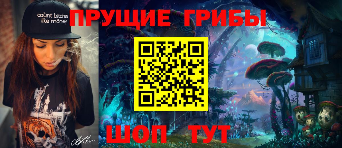 Псилоцибиновые грибы Psilocybe  Вход с VPN  Серов 